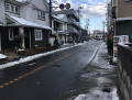 鎌倉でも大雪でした